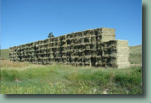 Hay for sale, just outside beautiful Steamboat Springs, Colorado