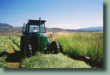 Cutting hay at High Tide Ranch, just outside of Steamboat Springs, Colorado