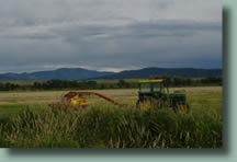 High Tide Ranch is a working ranch located just outside of Steamboat Springs, Colorado